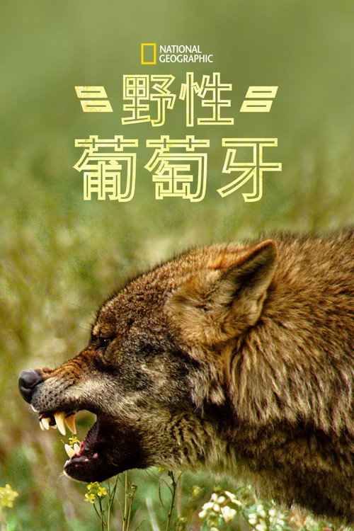 狂野葡萄牙电影海报