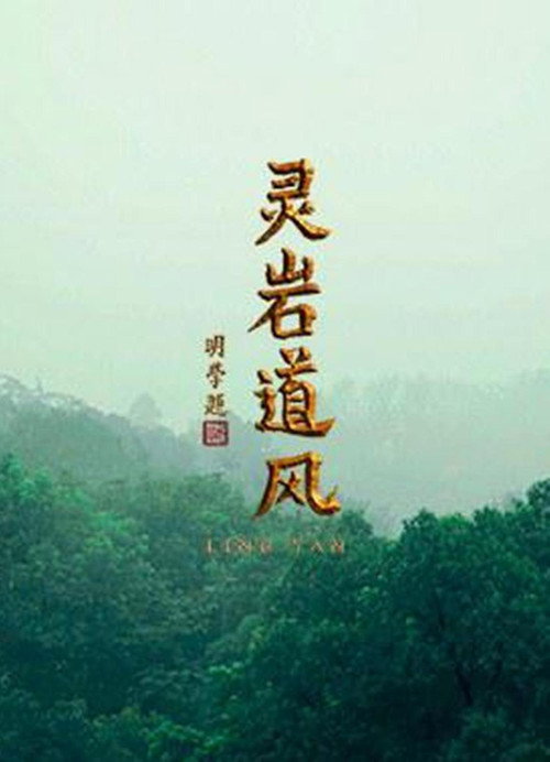 灵岩道风电影海报