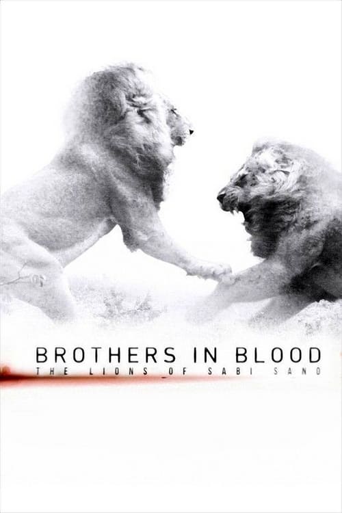 Brothers+in+Blood%3A+The+Lions+of+Sabi+Sand