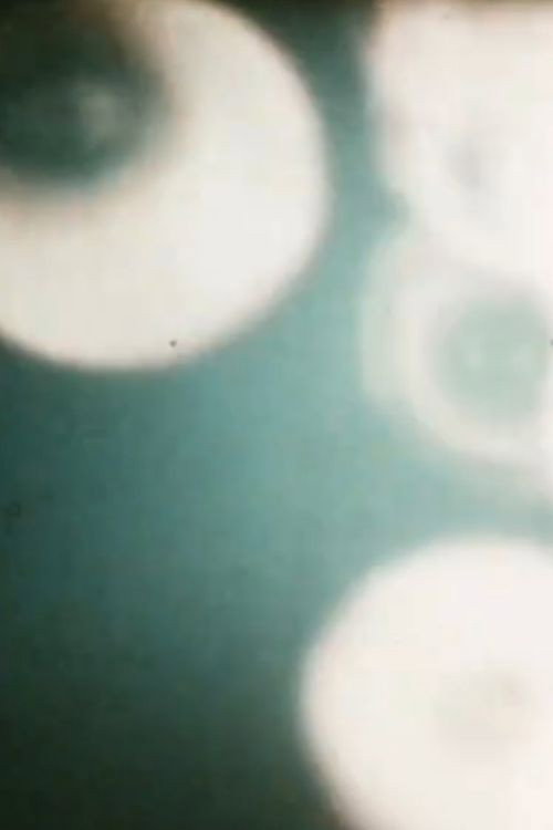 Closed Eyes poster 2