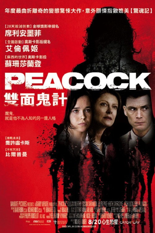 孔雀镇电影海报