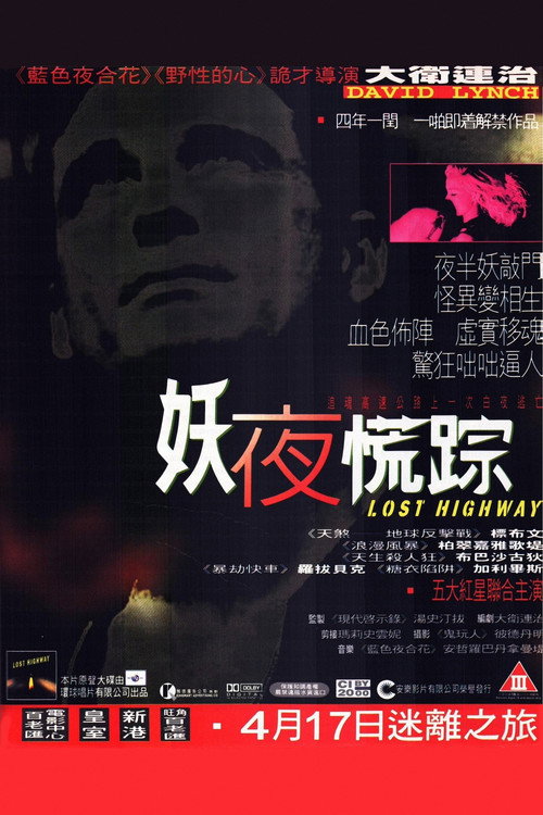 妖夜慌踪电影海报