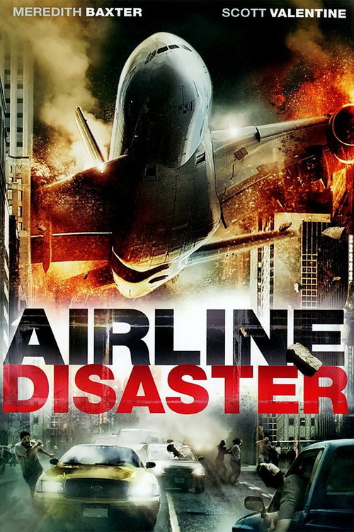 Airline Disaster poster 4