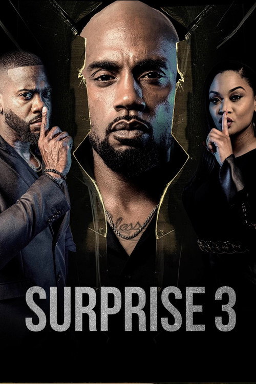 Surprise 3 poster 2