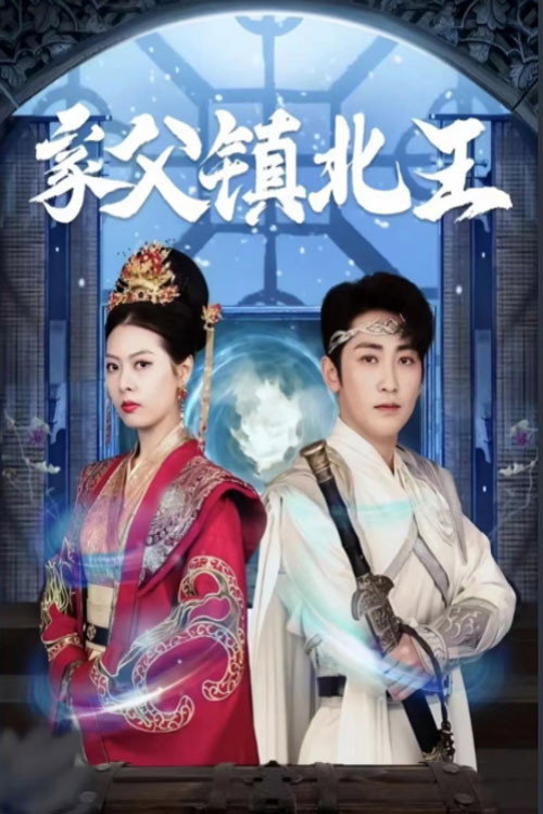 家父镇北王电影海报