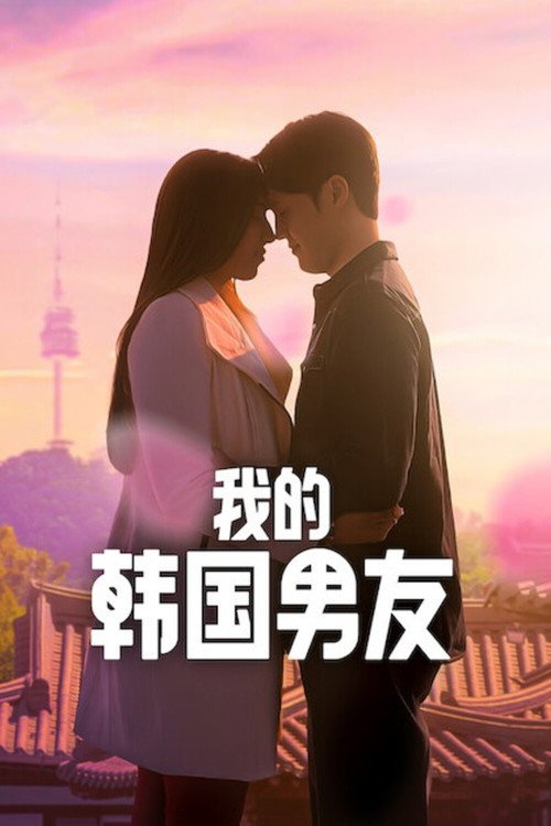 我的韩国男友电影海报