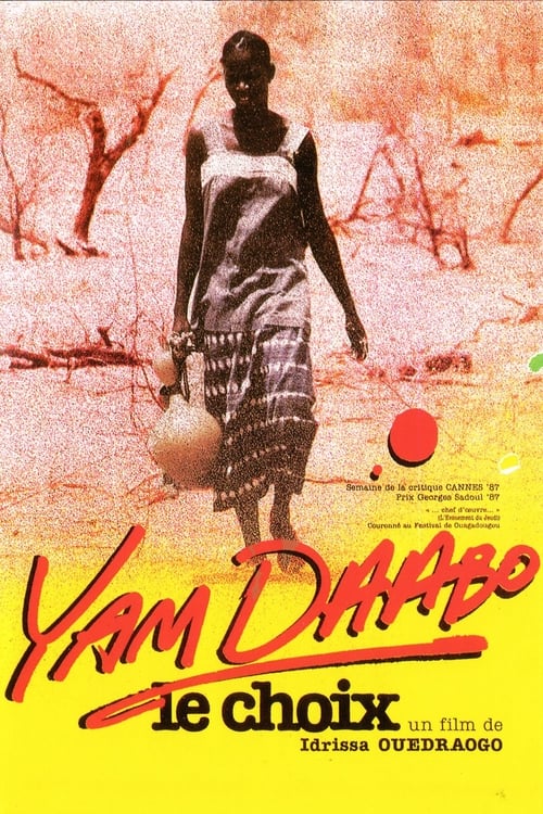 Yam+Daabo