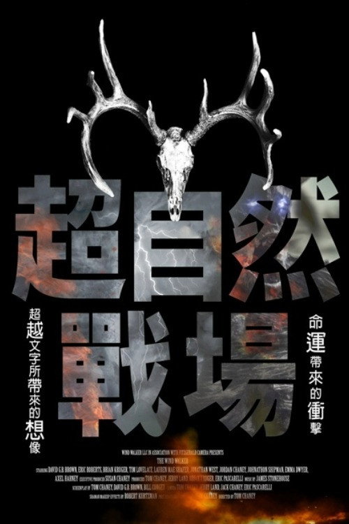 The Wind Walker电影海报