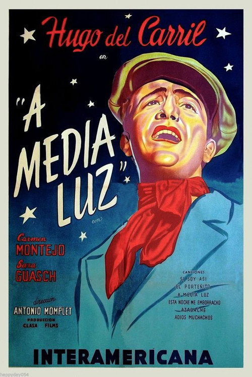 A media luz poster 2