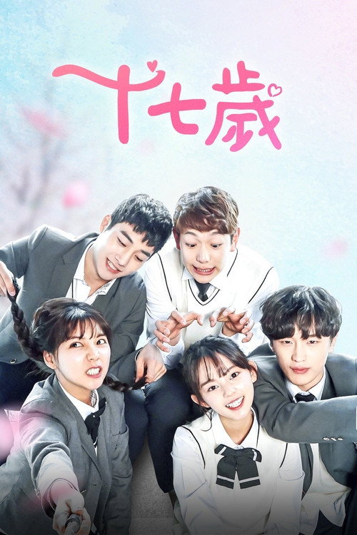 十七岁电影海报