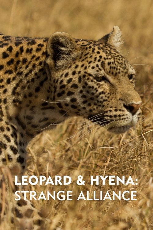 Leopard+%26+Hyena%3A+Strange+Alliance