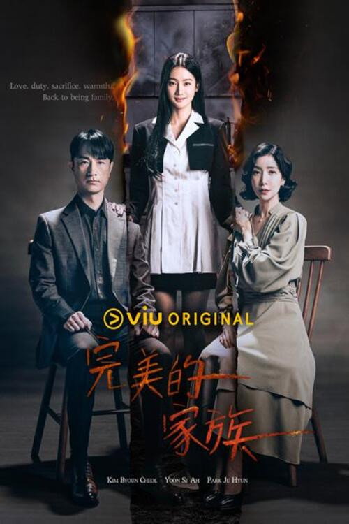 完美的家庭海报