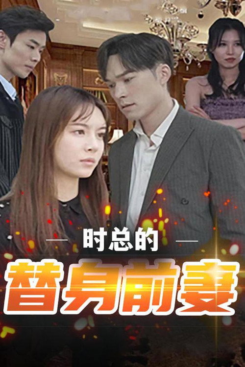 时总的替身前妻电影海报