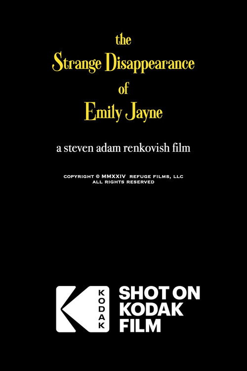 The Strange Disappearance of Emily Jayne poster 4