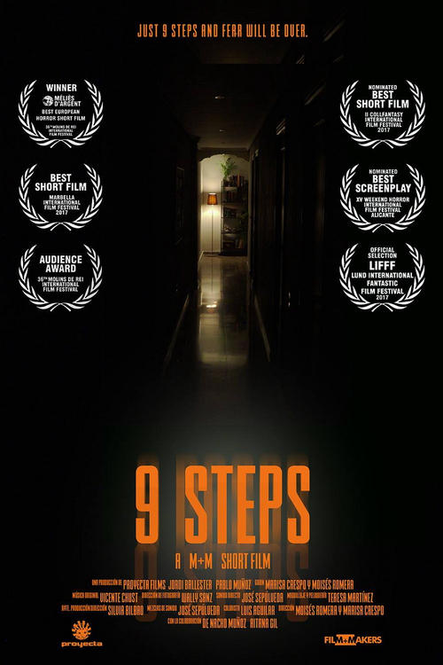 9 Steps Poster