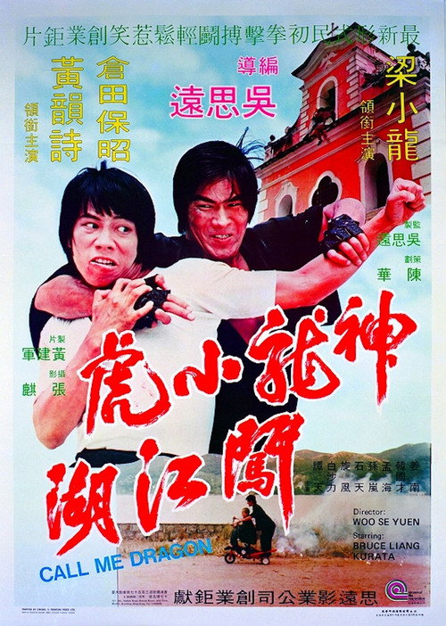 神龍小虎闖江湖电影海报