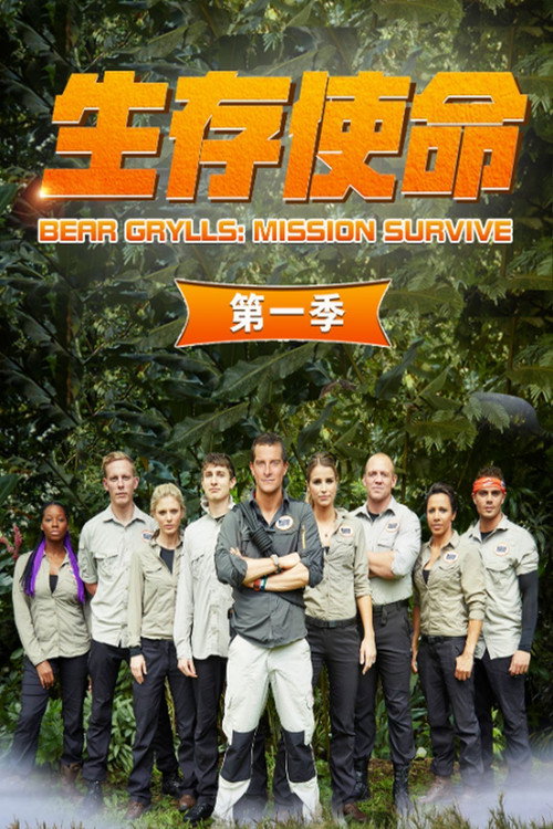 生存使命电影海报