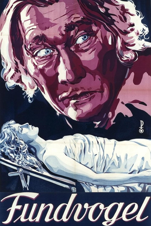 Fundvogel poster 2