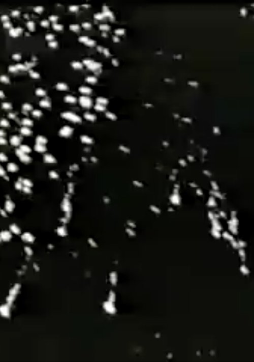 Guarda Scattering Stars (1994) Film Completo ITALIANO Scattering Stars (1994) Guarda il film in streaming online