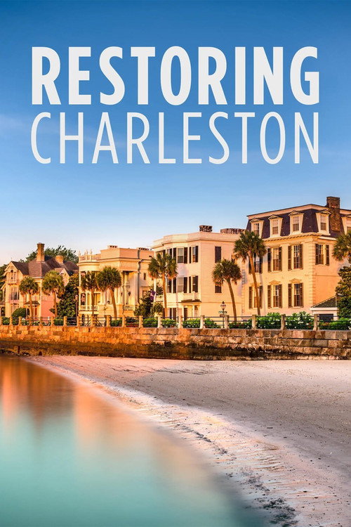 Restoring Charleston电影海报