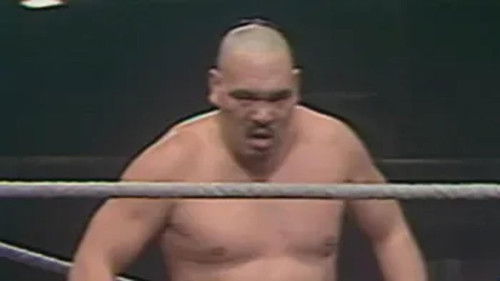 All Star Wrestling - November 29, 1980