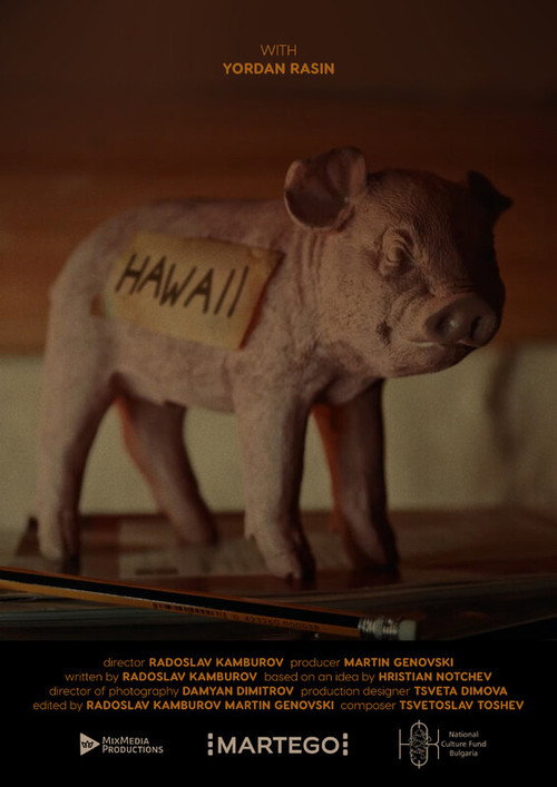 Hawaii's poster