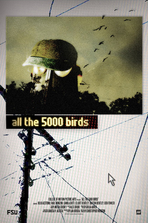 all the 5000 birds电影海报
