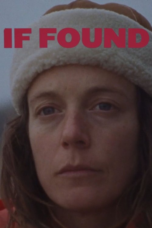 If Found Poster