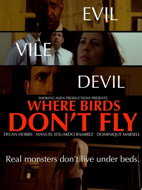 Where Birds Don't Fly poster 2
