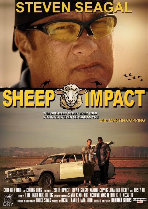 Sheep+Impact