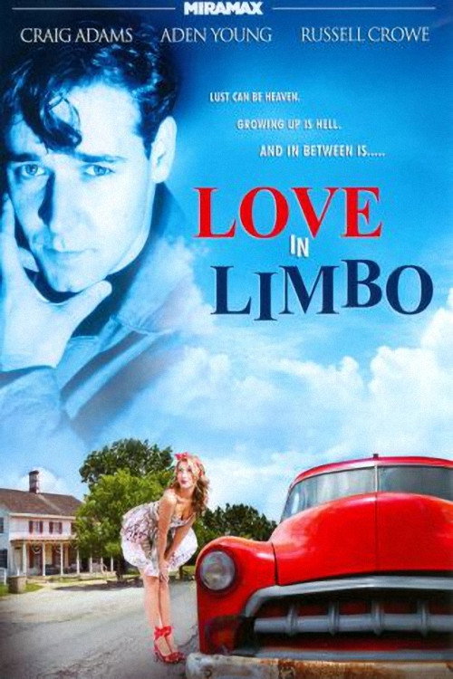 Love In Limbo poster 4