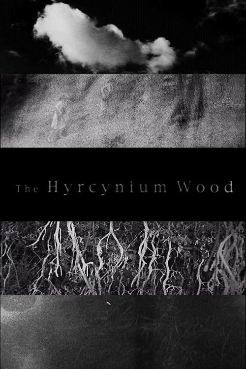 The Hyrcynium Wood Poster