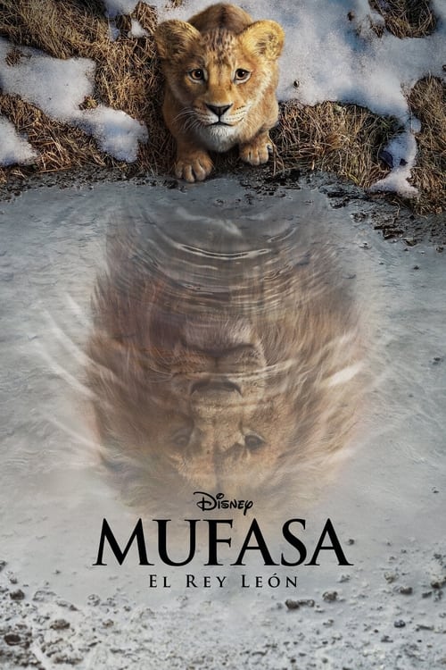 Mufasa The Lion King