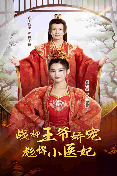 战神王爷娇宠彪悍小医妃电影海报