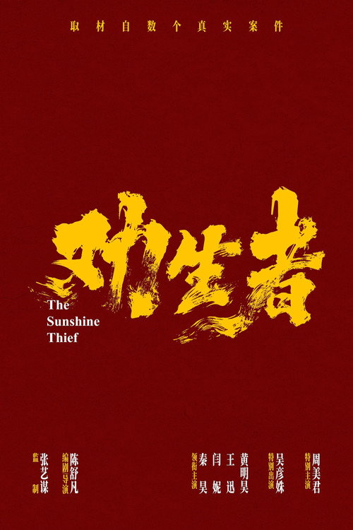 Sunshine Thief Poster