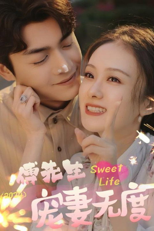 傅先生宠妻无度电影海报