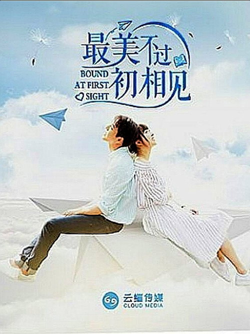 Bound at First Sight poster 2