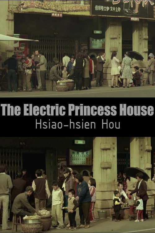 the electric princess house电影海报