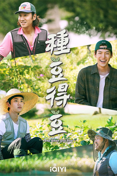 种豆得豆电影海报