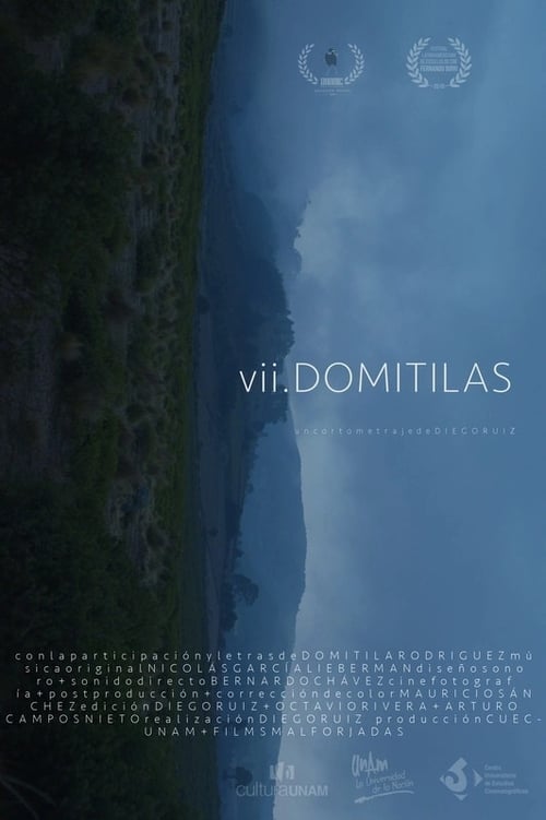 VII+Domitilas