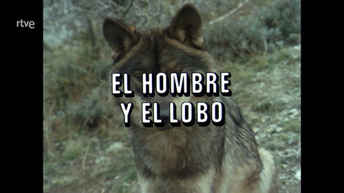 Man and the Wolf