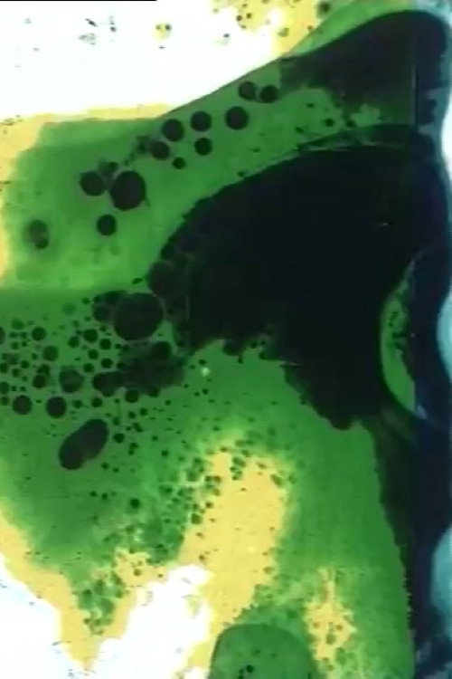 Nickel电影海报