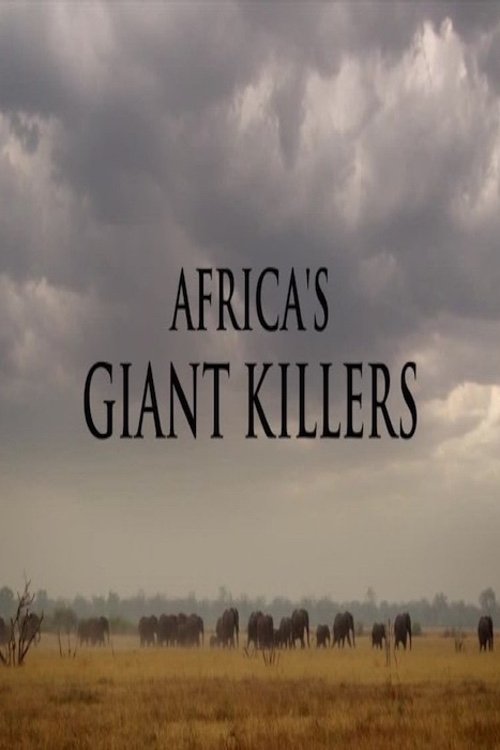 Africa%27s+Giant+Killers