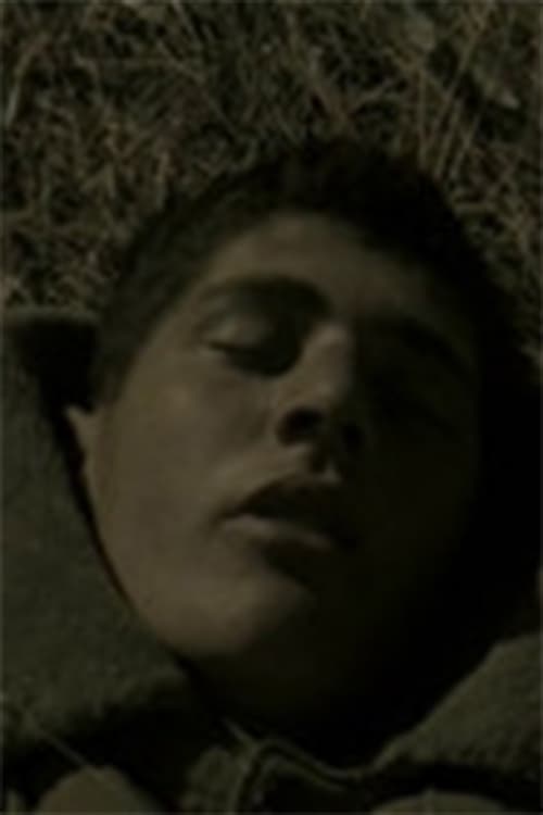 A Soldier's Dream Poster