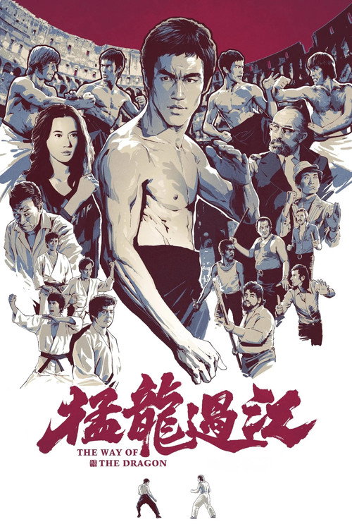 猛龙过江电影海报