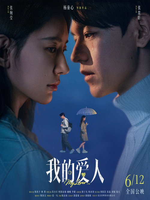 我的爱人电影海报