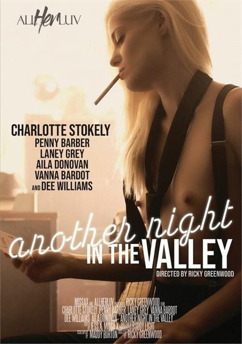 Another Night in the Valley Poster
