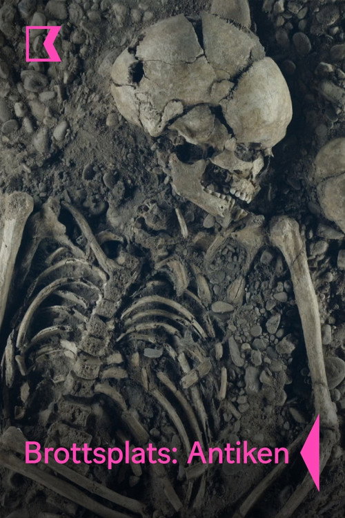 Casi freddi della storia antica电影海报