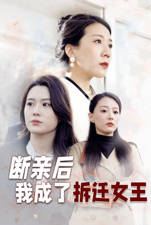 断亲后我成了拆迁女王电影海报
