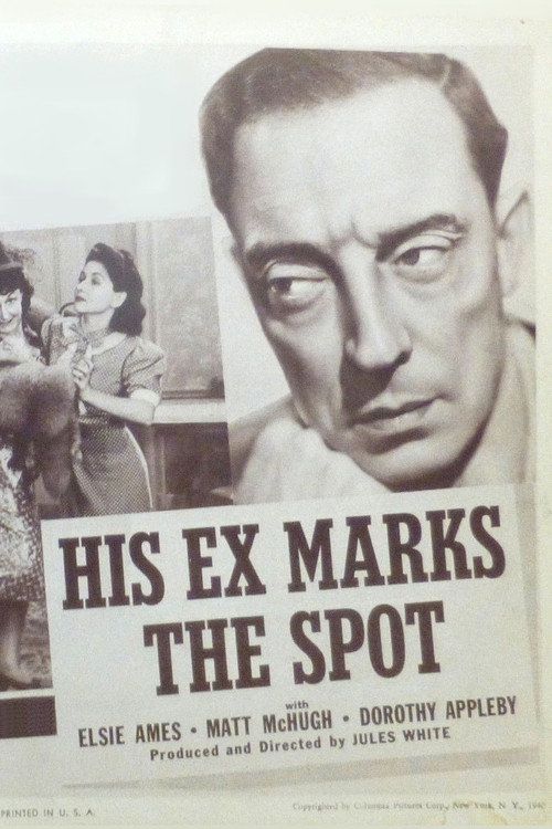 His Ex Marks the Spot poster 2